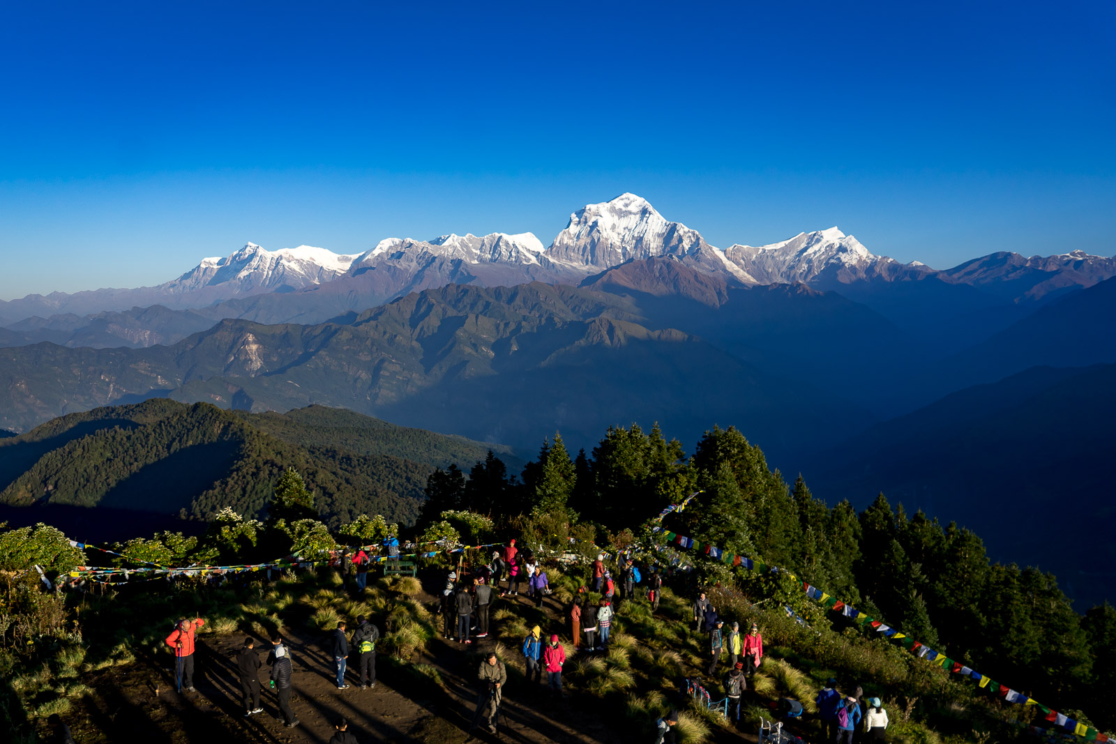 Poon hill hike and trek to Tadapani (2540m/8332ft), 6-7 hrs walk