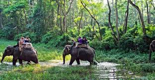 Chitwan full day jungle activities.