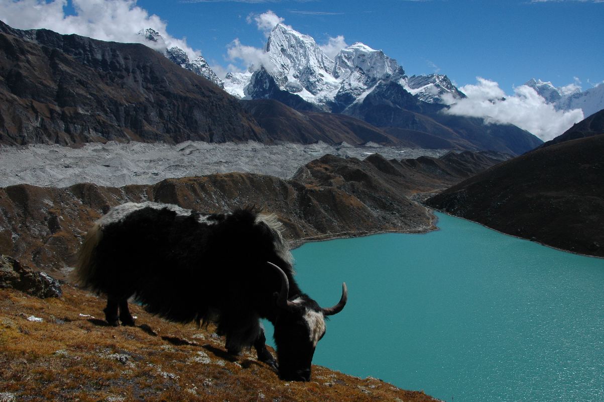 TREKKING IN NEPAL