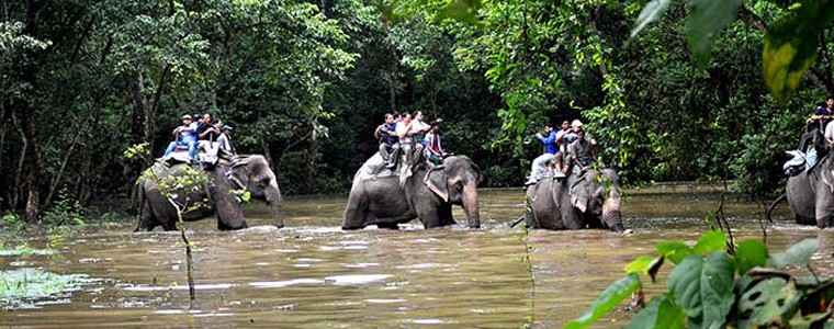 Jungle Safari In Nepal